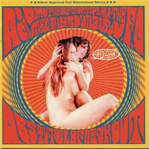 Acid Mothers Temple & The Melting Paraiso U.F.O. - Absolutely Freak Out (Zap Your Mind!!) mp3