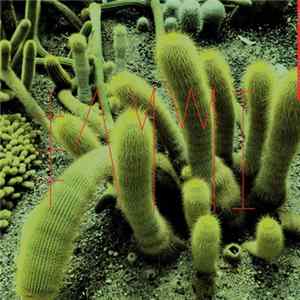 Sanmi - The Hermit mp3