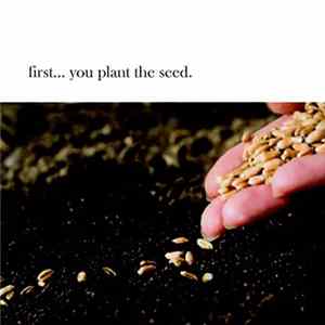 Various - First... You Plant The Seed. mp3