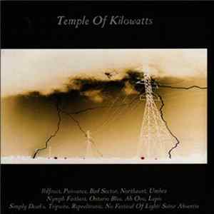 Various - Temple Of Kilowatts mp3