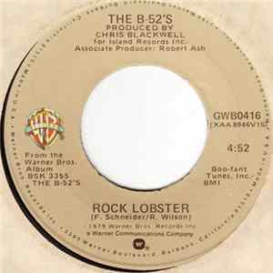 The B-52's - Rock Lobster / Private Idaho mp3