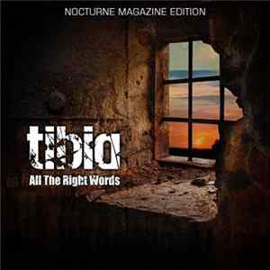 Tibia - All The Right Words mp3