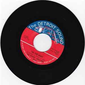 The Detroit Vibrations - I'm The Man / She's A Winner mp3