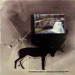 Sharks With Wings - Throwin Leather mp3