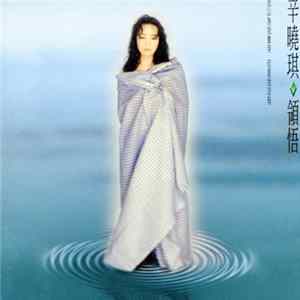 辛曉琪 - 領悟 mp3