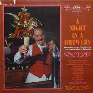 Unknown Artist - A Night In A Brewery mp3