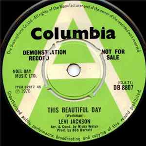 Levi Jackson - This Beautiful Day mp3