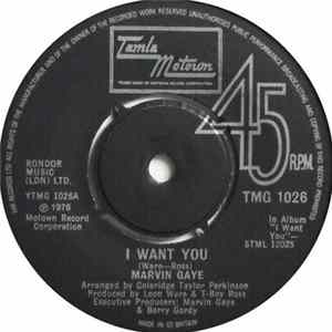 Marvin Gaye - I Want You mp3