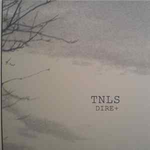 The New Low Standards - Dire+ mp3