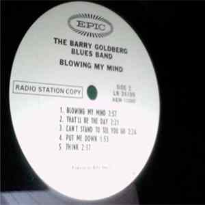 The Barry Goldberg Blues Band - Blowing My Mind mp3