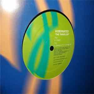 Hybernated - The Traveller mp3