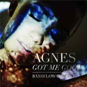 Agnes - Got Me Good (Bassflow Remake) mp3