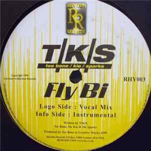 T/K/S - Fly Bi mp3