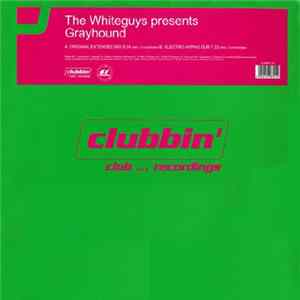 The Whiteguys - Grayhound mp3