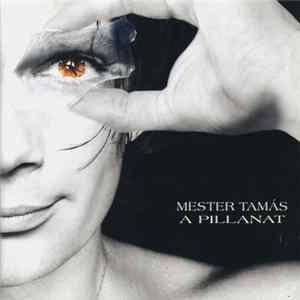 Mester Tamás - A Pillanat mp3