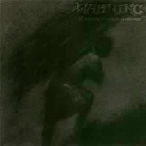 Warning - Watching From A Distance mp3