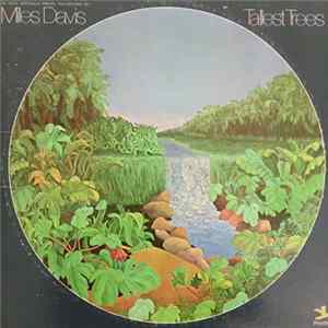 Miles Davis - Tallest Trees mp3