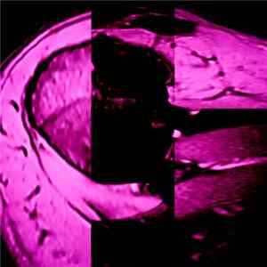 Jason Wright - Omgeving mp3