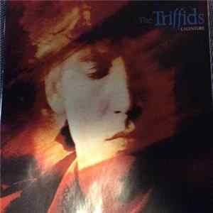 The Triffids - Calenture mp3