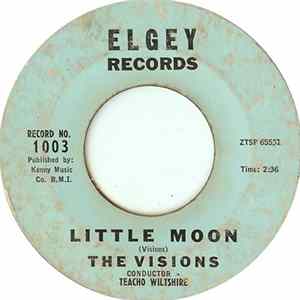 The Visions - Little Moon mp3