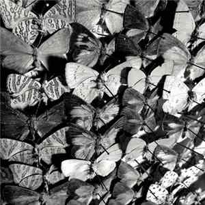 Thomas Ragsdale - Bait mp3