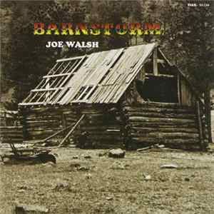 Joe Walsh - Barnstorm mp3