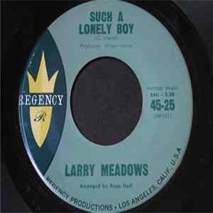 Larry Meadows - Such A Lonely Boy / Don't Hide Your Love mp3
