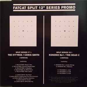 The Ivytree / Chris Smith / Konono No. 1 / The Dead C - FatCat Split 12" Series Promo mp3