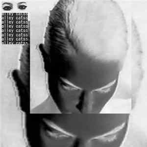 Alley Catss - (II) mp3