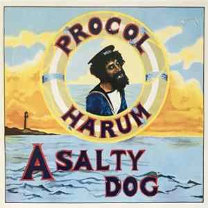 Procol Harum - A Salty Dog mp3