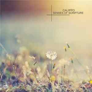 Calippo - Senses of Scripture mp3