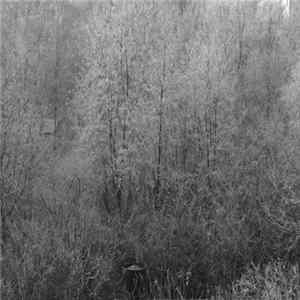 Various - Wind mp3