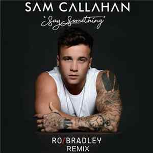 Sam Callahan - Say Something (Ro Bradley Remix) mp3