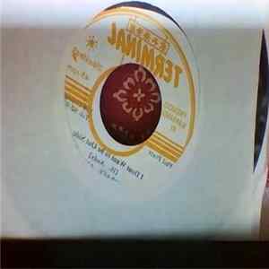 Horace Andy - Holy Mount Zion mp3