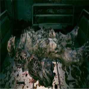Abysmal Growls Of Despair - Carnassier - Armand D'Estebaie mp3