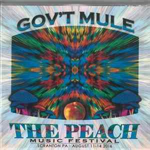 Gov't Mule - Live At 2016 Peach Music Festival mp3