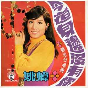 姚煒 - 今夜身邊沒有你 mp3