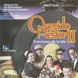 Mestisay - Querido Nestor II mp3