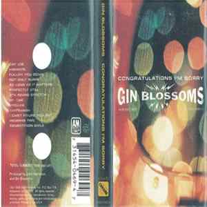 Gin Blossoms - Congratulations I'm Sorry mp3