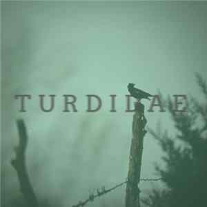 Turdidae - Linear Landscapes mp3