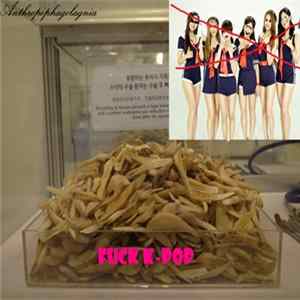 Anthropophagolagnia - Fuck K-pop mp3