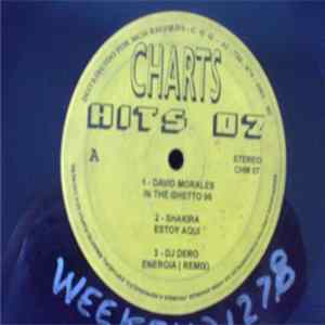 Various - Charts Hits 07 mp3