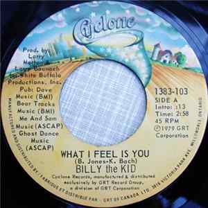 Billy The Kid - What I Feel Is You / Songpainter mp3