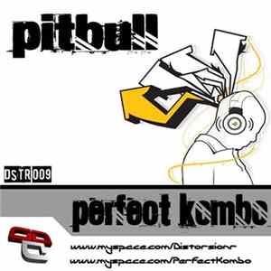 Perfect Kombo - Pitbull mp3