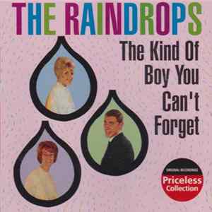 The Raindrops - The Kind Of Boy You Can´t Forget mp3