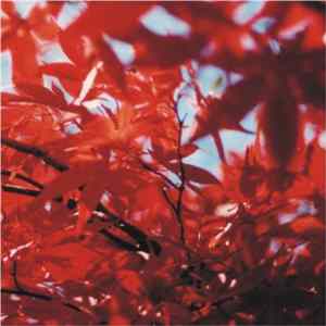 Zac Keiller/Twilight And Dawn - Split mp3