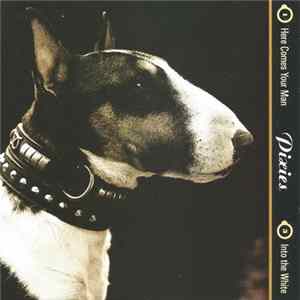 Pixies - Here Comes Your Man mp3
