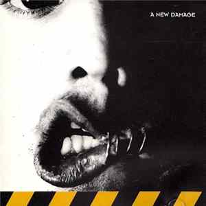Hammer - A New Damage mp3
