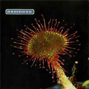 Brainbox - Primordia mp3
