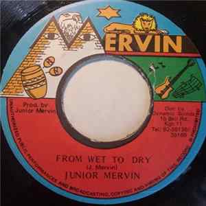 Junior Mervin - From Wet To Dry mp3